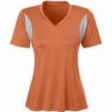 tt10w-team-365-ladies-v-neck